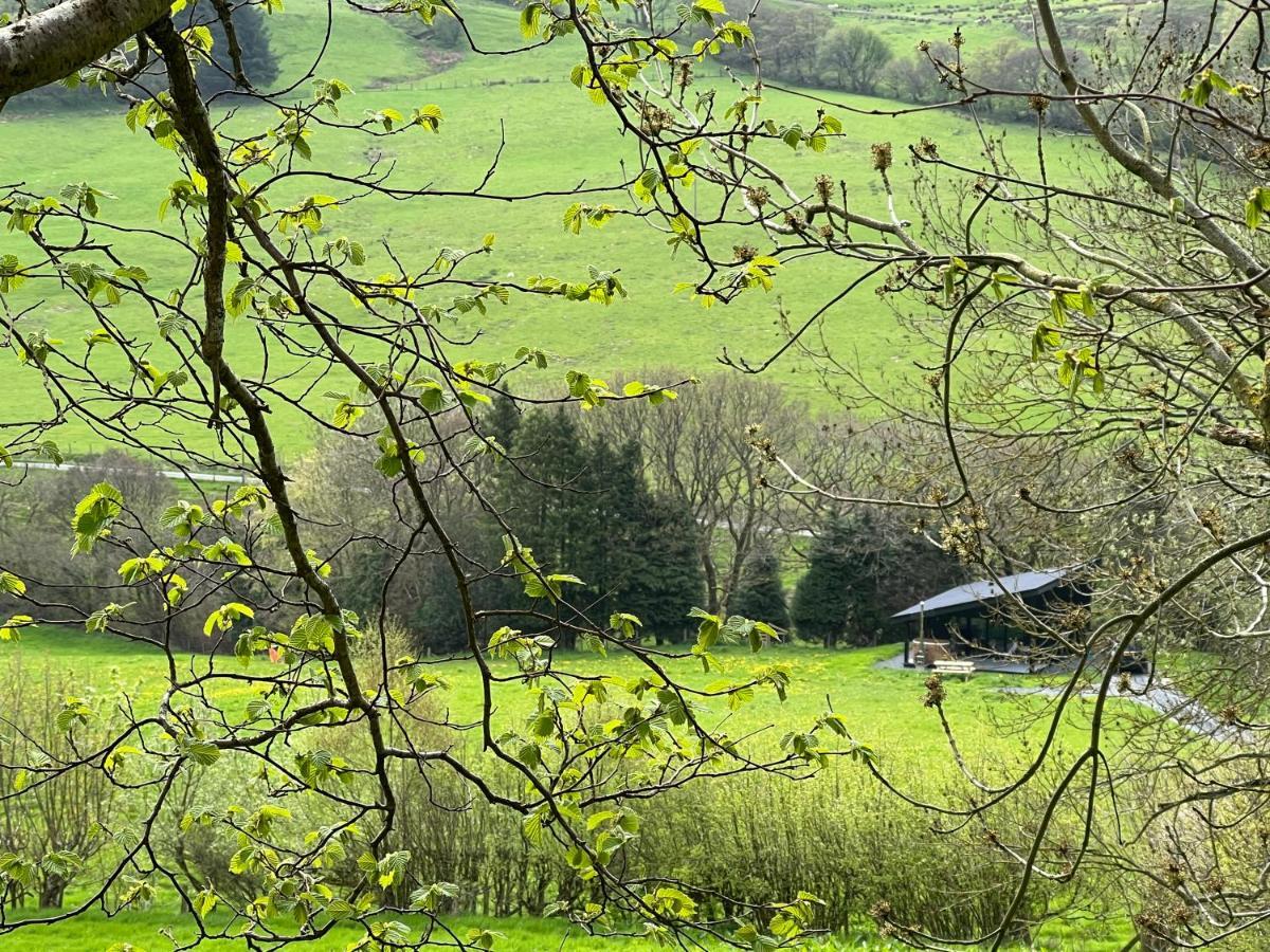 Villa Quirky, Luxury Hideaway à Llanbrynmair Extérieur photo